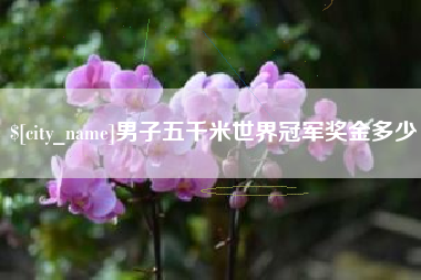 山南男子五千米世界冠军奖金多少