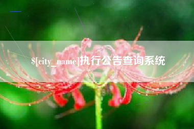 山南执行公告查询系统