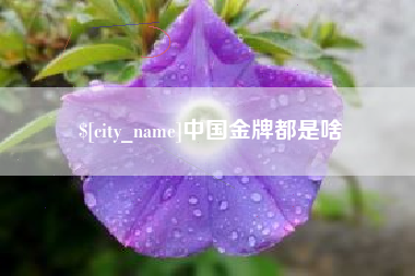 山南中国金牌都是啥