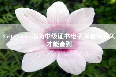 山南消防中级证书电子版查询多久才能查到