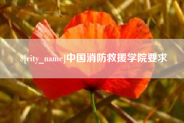 山南中国消防救援学院要求