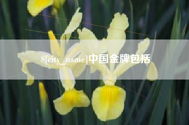 山南中国金牌包括