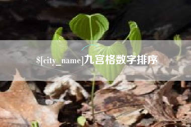 山南九宫格数字排序