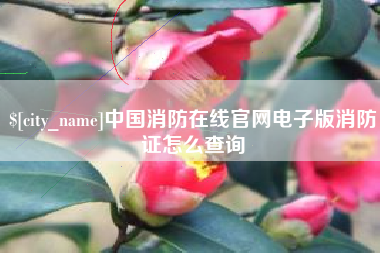 山南中国消防在线官网电子版消防证怎么查询