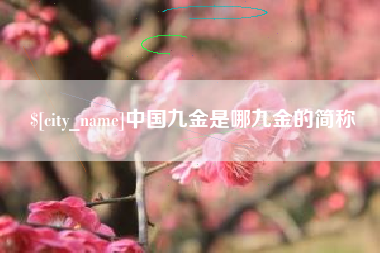 山南中国九金是哪九金的简称