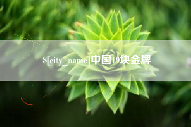 山南中国19块金牌