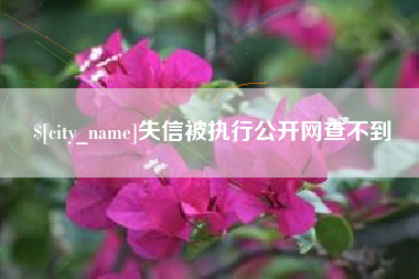 山南失信被执行公开网查不到