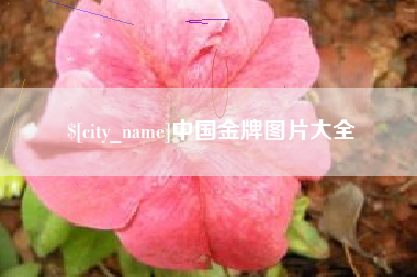 山南中国金牌图片大全