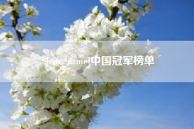 山南中国冠军榜单