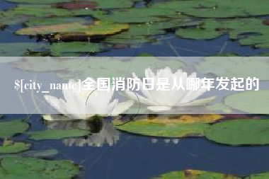 山南全国消防日是从哪年发起的