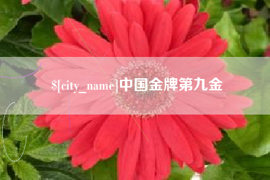 山南中国金牌第九金