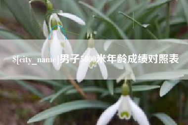 山南男子5000米年龄成绩对照表