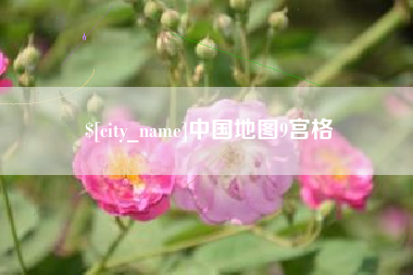 山南中国地图9宫格