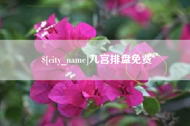 山南九宫排盘免费