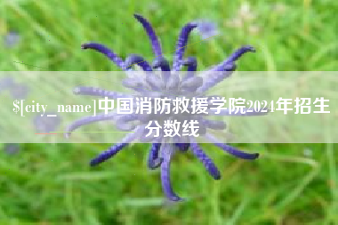 山南中国消防救援学院2024年招生分数线