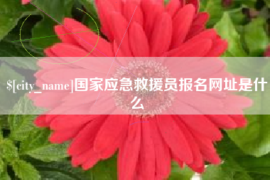 山南国家应急救援员报名网址是什么