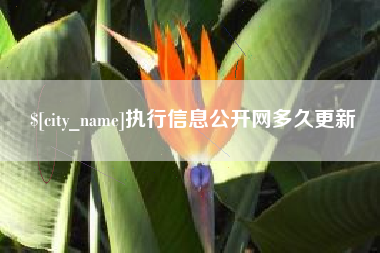 山南执行信息公开网多久更新