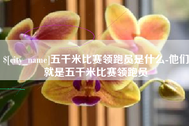 山南五千米比赛领跑员是什么-他们就是五千米比赛领跑员