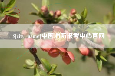 山南中国消防报考中心官网