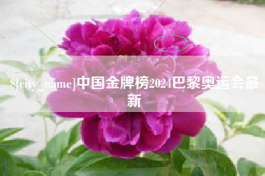 山南中国金牌榜2024巴黎奥运会最新
