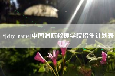 山南中国消防救援学院招生计划表