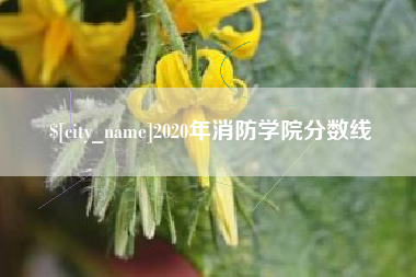 山南2020年消防学院分数线