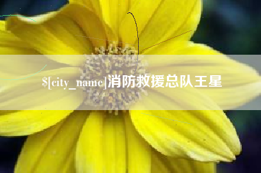 山南消防救援总队王星