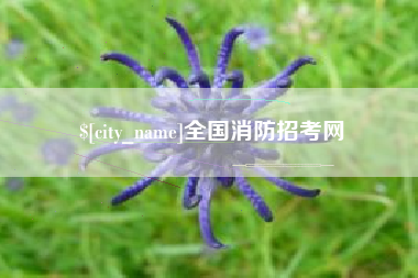 山南全国消防招考网