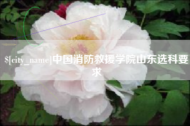 山南中国消防救援学院山东选科要求