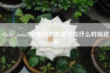 山南中国消防救援学院什么时候政审