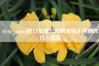 山南执行信息公开网查询不到被执行人信息