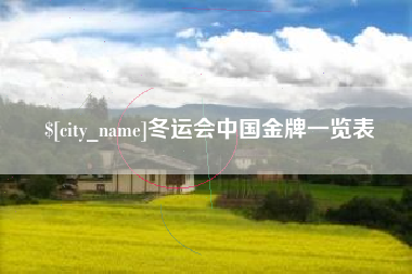 山南冬运会中国金牌一览表
