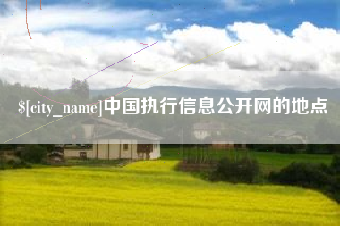 山南中国执行信息公开网的地点