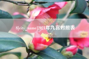 山南2021年九宫对照表
