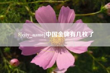 山南中国金牌有几枚了