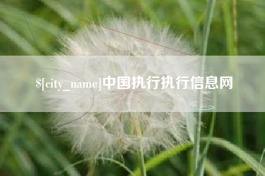 山南中国执行执行信息网