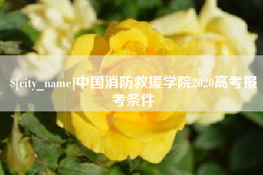 山南中国消防救援学院2020高考报考条件