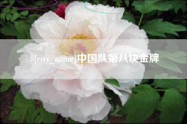 山南中国队第八块金牌