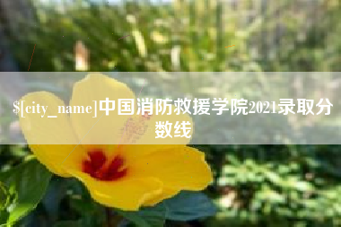 山南中国消防救援学院2021录取分数线