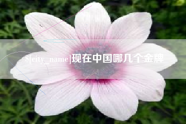 山南现在中国哪几个金牌