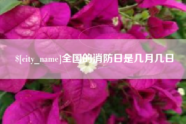 山南全国的消防日是几月几日