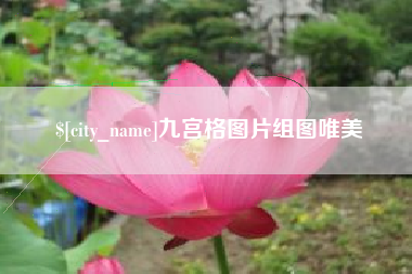 山南九宫格图片组图唯美