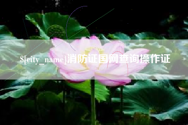 山南消防证国网查询操作证
