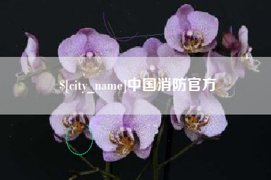 山南中国消防官方