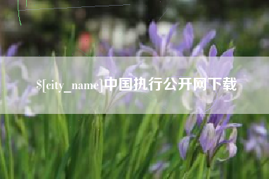 山南中国执行公开网下载