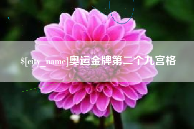 山南奥运金牌第二个九宫格
