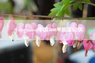 山南中国5000米国家记录