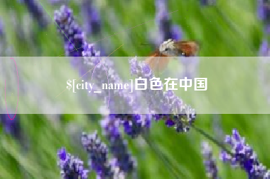 山南白色在中国