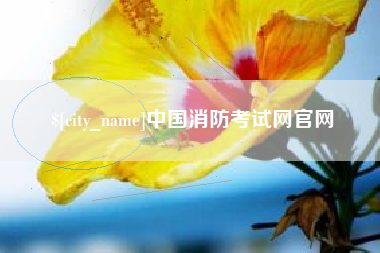 山南中国消防考试网官网