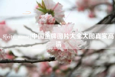 山南中国金牌图片大全大图真实高清